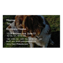 Dog Cocker Spaniel Sitting Business Cards