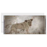 Dog Custom Rack Card