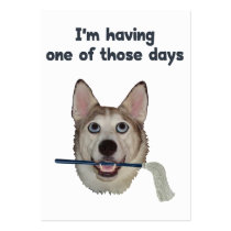 Dog Days Humour