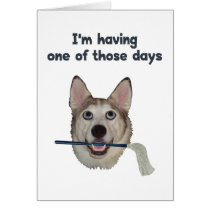 Dog Days Humour