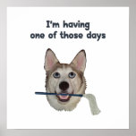 Dog Days Humour posters