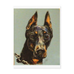 DOG DOBERMAN PRODUCTS postcards