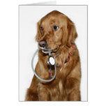 Dog Doc Greeting Card