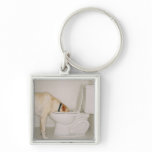 Dog drinking out of toilet key chain