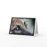 Dog eyes card