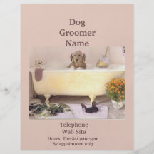 Dog Groomer Pet Products Services Business Flyer