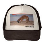 dog hat