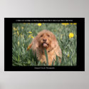 Dog Heaven Poster Poster Print