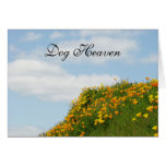 Dog Heaven Sympathy Cards Sorry for your Loss!