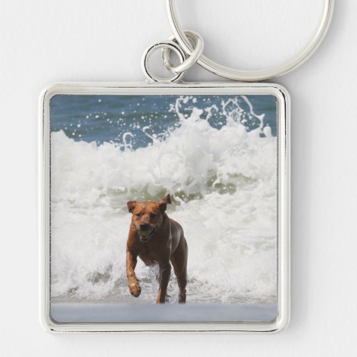 Dog - Here I Come... Key Chains