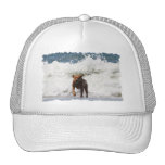 Dog - Here I Come... Trucker Hat