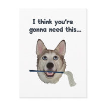 Dog Humour Need Mop