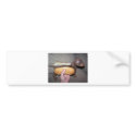 Dog in a Bun bumper stickers