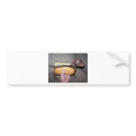 Dog in a Bun bumper stickers