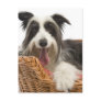 Dog in basket 2 post card