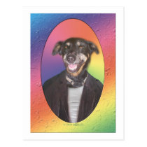Dog in leather postcards
