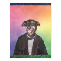 Dog in leather postcards