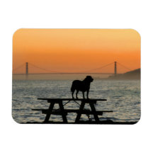 Dog in San Francisco Sunset Magnet