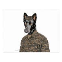 Dog In Uniform Post Cards