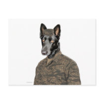 Dog In Uniform Post Cards