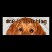 doG Is Watching Golden retriever posters