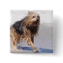 Dog - Joy of the Surf