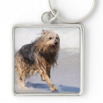 Dog - Joy of the Surf