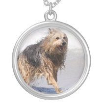 Dog - Joy of the Surf