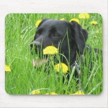 DOG LABRADOR RETRIEVER BLACK MOUSEPAD