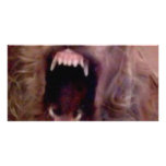 DOG laughing photo cards