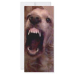 DOG laughing rack cards