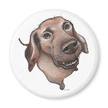 Dog magnet