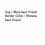 Dog = Mans best friendBorder Collie = Womans be... T Shirts