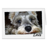 DOG: Mini German Schnauzer w/Love Greeting Card