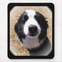 Dog Nose Mousepad