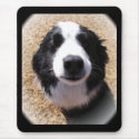 Dog Nose Mousepad