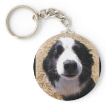 Dog Nose Photo Keychains
