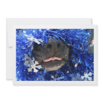 Dog Nose Small tongue Blue Tinsel Invitation