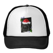 Dog Nose Wearing Santa hat, black lab mix