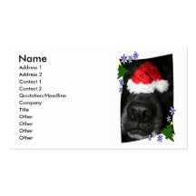 Dog Nose Wearing Santa hat, black lab mix Business Card