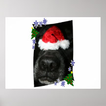 Dog Nose Wearing Santa hat, black lab mix Print