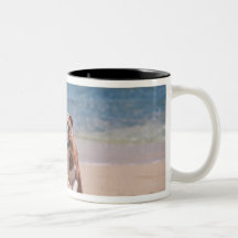 Dog of Sandy Beach Mug