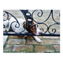 Dog On Iron Hand Work Post Card