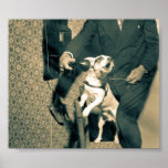 Dog on Phone Print