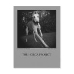 Dog Park Postcard 11