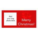 Dog Photo Bells Red White Christmas Card Photo Card