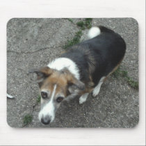 Dog Photo Mousepad