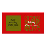 Dog Photo Pine Cones Red Green Christmas Card Photo Cards