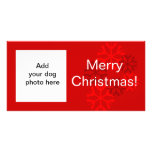 Dog Photo Snowflake Red White Christmas Card Customised Photo Card