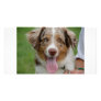 dog photocard photo card template